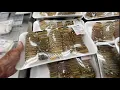 Shrimp and Lobster at Costco