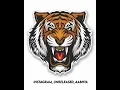 Download Lagu short video DJ Han 🦁