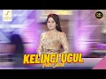 Download Lagu PUTRI CEBRET  - KELINCI UCUL - NGUBENGI KUTHO SAKTERUSE ING DESO DESO (DP MUSIK OFFICIAL)