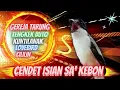 Download Lagu Cendet Tembakan Ngeroll Gereja Tarung, Tengkek Buto, Kuntilanak, Lovebird, Cililin dll