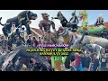 Download Lagu FULL Arak Arakan Ngunjung Buyut Ki Gede Soka 2025 | Desa Danamulya Kecamatan Plumbon Cirebon