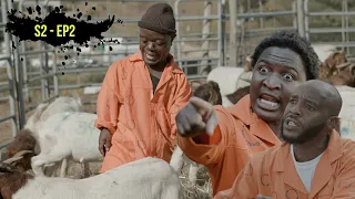 new prison s2 ep2 stolen