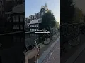 Download Lagu Evening walk in Amsterdam with the queen herself 👑🦛 #dogmomlife #househippo #amstaff #bullybreed