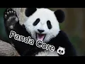 Panda Core