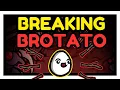 The Most Consistent Danger 5 Build in Brotato