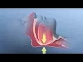 Download Lagu Obstructive Sleep Apnea - Mayo Clinic