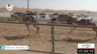 الشوط 13 حضور لـ سيف سالم سيف الدرعي 1 45 23 شارة الصندوق 2021 3 6 الرقيعات فطامين 