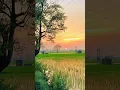 Download Lagu Kisan Diwas Status | National Farmers Day 2025 #diarydilki2309 #shorts #kisandiwas2025