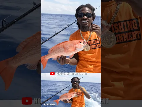 Fishing For Different Species In The Keys! #fishing #fishingvideo #saltwaterfix