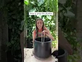 Download Lagu DIY a self-watering planter with me!!