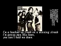 [歌詞・和訳]The Wild One_ Suzi Quatro