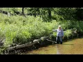 Using Native Plants and Dead Trees to Restore Stream Banks
