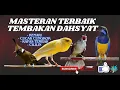 Download Lagu MASTERAN SULTAN || TEMBAKANNYA DAHSYAT || c,cungkok vs kenari vs cililin vs kapas tembak 5jam