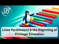 Linux Permissions the Beginning of Privilege Escalation