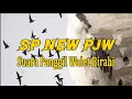 Download Lagu SP NEW PJW, SUARA PANGGIL WALET SANGAT CEPAT MENGINAPKAN BURUNG WALET 2024