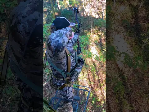 Levi letting an arrow fly! Fresh venison!