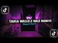 Download Lagu DJ  TANIA MALELE MALE MAMAYO SLOW || DJ TERBARU 2023❗❗
