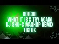 Doechii - What It Is x Try Again (DJ SHU-G Mash Up Remix Tiktok)
