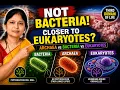 Archaea Characteristics Cell Wall Cell Membrane Comparison with Bacteria and Eukaryotes