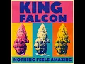 Nothing Feels Amazing - King Falcon