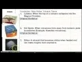 Vocabulary Notes Volcanic Terms
