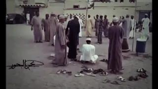 ليوا نوبان  دندنها