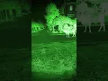 Download Lagu Most haunted scene #shorts #ytshorts #viral #trending #youtubeshorts #ghost #bhoot #horror