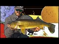 Catch MORE Walleyes With Side Imaging Down Imaging and Sonar