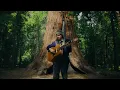 Tay Oskee - Sequoia (Lovers On The Mountain) | Live from the Sequoias