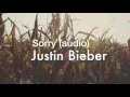 Download Lagu Sorry - Justin Bieber (audio)
