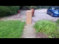 FedEx Home Delivery