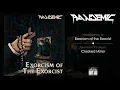 Download Lagu PANDEMIC (PL) - Exorcism of the Exorcist