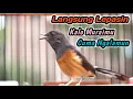 Lagu HITUNGAN DETIK MURAIMU LANGSUNG NGAMUK GACOR‼️KRETEKAN KERAS MURAI BETINA PENGGACOR JANTAN AMPUH