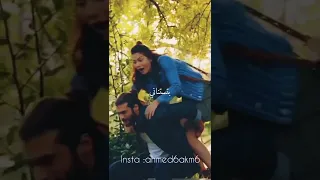 حالات واتساب و استوريهات انستا محمد حماقي انت حبيبي اغنيه جميله جدا اسمعوها هتعجبكم اوي 