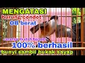 Download Lagu #tutorial MENGATASI CENDET OVER BIRAHI BUNYI SAMBIL BUKAK SAYAP #cendetgacor #bodbodpentet #youtube MP3