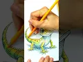 Lizard