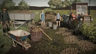 Wakacje w Boćkowie - Wykopki z rodziną na polu wuja. Jak zwykle Rafałek wpadł na genialny plan.