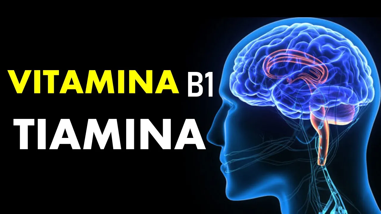 🔴 TIAMINA (VITAMINA B1) | Para qué sirve, Alimentos ricos, Deficiencia, Cómo se toma y MÁS!