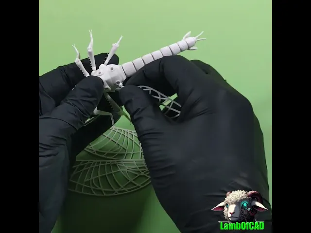 Dragonfly for Painting video thumbnail