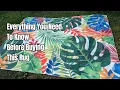 8x10 Tropical Monstera Outdoor Rug Review Waterproof Patio Rug Water Test Amazon Find