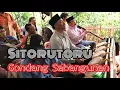 Download Lagu Sitorutoru TERSULIT di Dunia