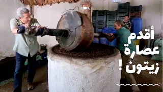 باب الخلق حجر عمره ٢٠٠ سنة بيعصر بيه بدري الزيتون بايده في اقدم عصارة زيتون في الواحات 