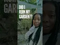 Download Lagu The Results of A Neglected Garden :(