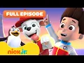 PAW Patrol Pups Save the Penguins FULL EPISODE Nick Jr