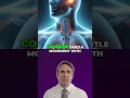 Download Lagu 5-Minute Mindfulness: Simple Techniques for Daily Calm