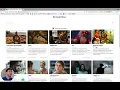 NYTimes movie-review searching web app