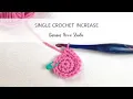 Single Crochet Increase