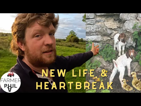 Download MP3 NEW LIFE & HEARTBREAK ON THE FARM