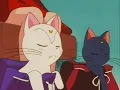 Sailor Moon - Feeding the Cats