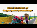 Download Lagu Panen padi inpari 32 dengan proses perontokan menggunakan mesin tleser